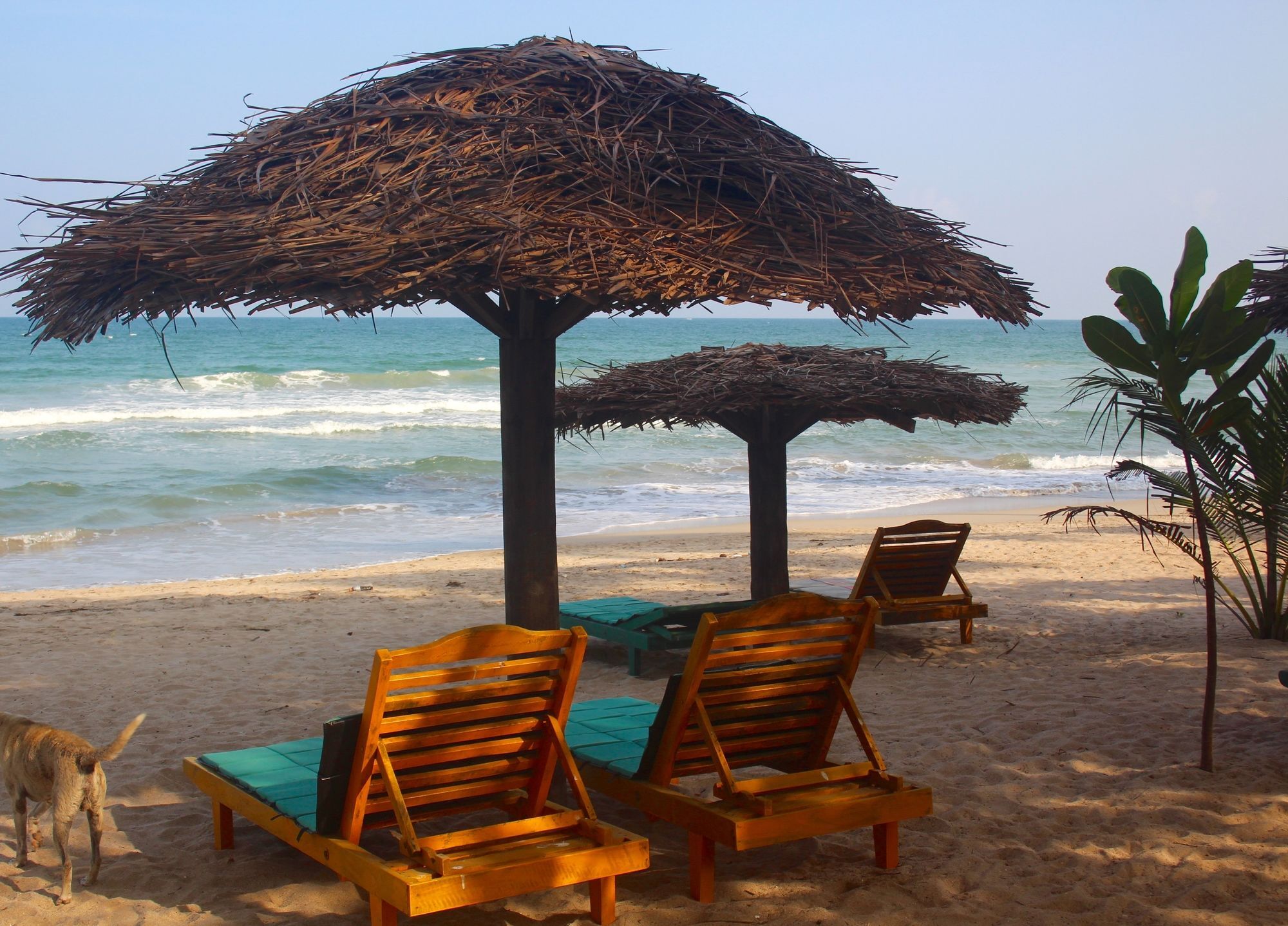 Golden Beach Cottages ตรินโคมาลี ภายนอก รูปภาพ